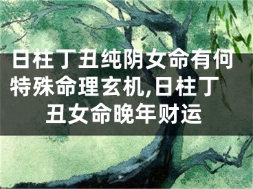 日柱丁丑纯阴女命有何特殊命理玄机,日柱丁丑女命晚年财运