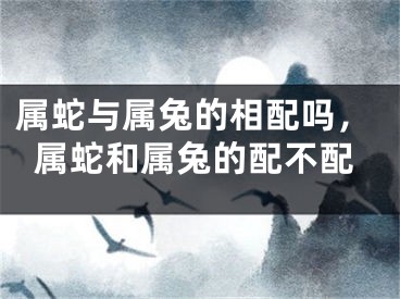属蛇与属兔的相配吗，属蛇和属兔的配不配