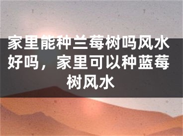 家里能种兰莓树吗风水好吗，家里可以种蓝莓树风水