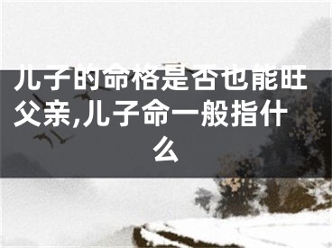儿子的命格是否也能旺父亲,儿子命一般指什么