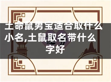 土命鼠男宝适合取什么小名,土鼠取名带什么字好