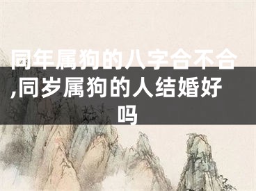 同年属狗的八字合不合,同岁属狗的人结婚好吗
