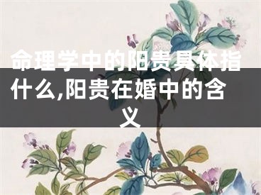 命理学中的阳贵具体指什么,阳贵在婚中的含义