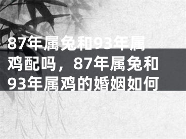87年属兔和93年属鸡配吗，87年属兔和93年属鸡的婚姻如何