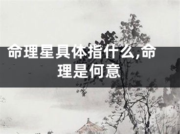命理星具体指什么,命理是何意
