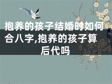 抱养的孩子结婚时如何合八字,抱养的孩子算后代吗