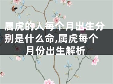属虎的人每个月出生分别是什么命,属虎每个月份出生解析