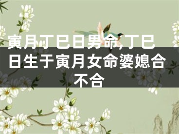 寅月丁巳日男命,丁巳日生于寅月女命婆媳合不合