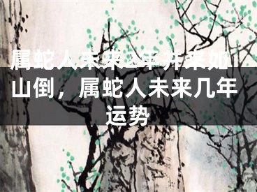 属蛇人未来2年并来如山倒，属蛇人未来几年运势