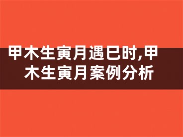 甲木生寅月遇巳时,甲木生寅月案例分析