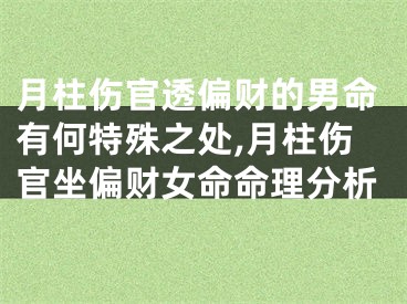 月柱伤官透偏财的男命有何特殊之处,月柱伤官坐偏财女命命理分析