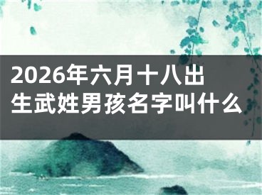 2026年六月十八出生武姓男孩名字叫什么