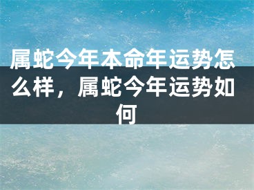 属蛇今年本命年运势怎么样，属蛇今年运势如何