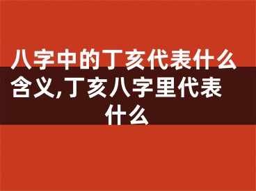 八字中的丁亥代表什么含义,丁亥八字里代表什么