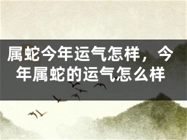 属蛇今年运气怎样，今年属蛇的运气怎么样
