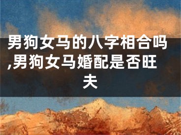 男狗女马的八字相合吗,男狗女马婚配是否旺夫