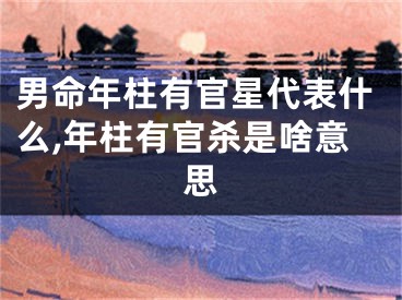 男命年柱有官星代表什么,年柱有官杀是啥意思