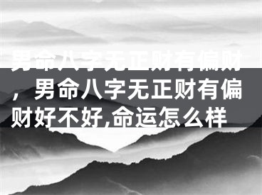男命八字无正财有偏财，男命八字无正财有偏财好不好,命运怎么样