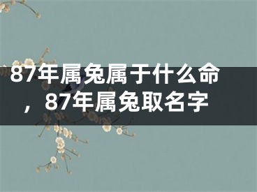 87年属兔属于什么命，87年属兔取名字