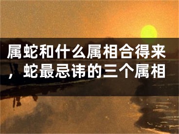 属蛇和什么属相合得来，蛇最忌讳的三个属相