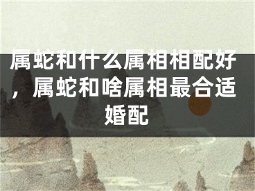 属蛇和什么属相相配好，属蛇和啥属相最合适婚配