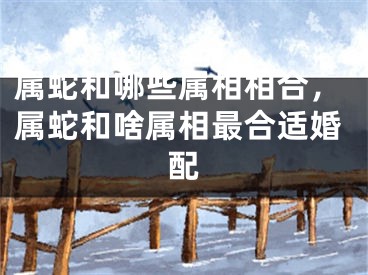 属蛇和哪些属相相合，属蛇和啥属相最合适婚配