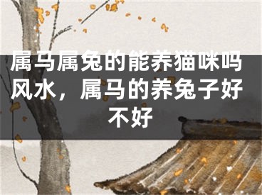 属马属兔的能养猫咪吗风水，属马的养兔子好不好