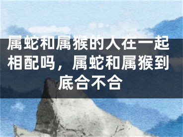 属蛇和属猴的人在一起相配吗，属蛇和属猴到底合不合