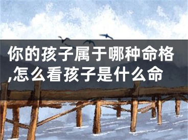 你的孩子属于哪种命格,怎么看孩子是什么命