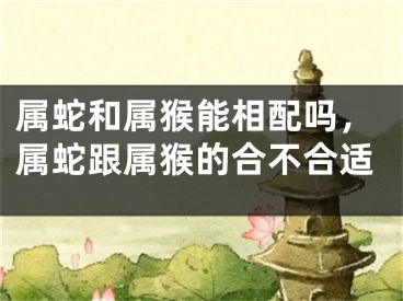 属蛇和属猴能相配吗，属蛇跟属猴的合不合适