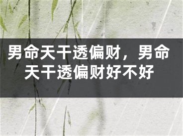 男命天干透偏财，男命天干透偏财好不好