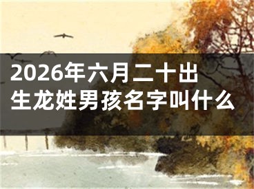 2026年六月二十出生龙姓男孩名字叫什么