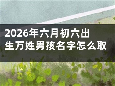 2026年六月初六出生万姓男孩名字怎么取