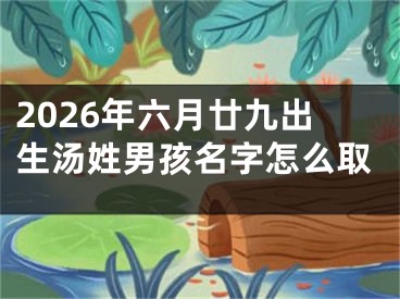 2026年六月廿九出生汤姓男孩名字怎么取