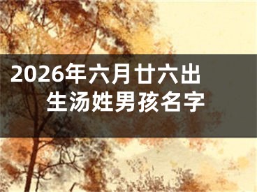 2026年六月廿六出生汤姓男孩名字