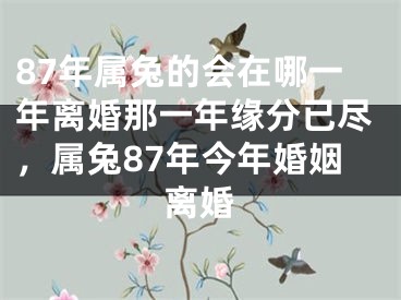 87年属兔的会在哪一年离婚那一年缘分已尽，属兔87年今年婚姻离婚