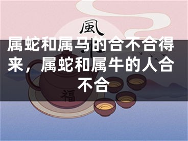 属蛇和属马的合不合得来，属蛇和属牛的人合不合