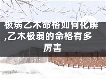 极弱乙木命格如何化解,乙木极弱的命格有多厉害