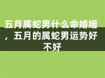 五月属蛇男什么命婚姻，五月的属蛇男运势好不好