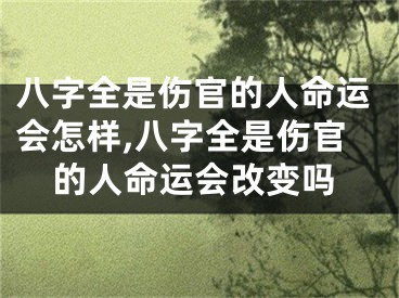 八字全是伤官的人命运会怎样,八字全是伤官的人命运会改变吗