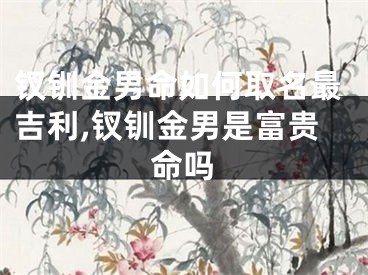 钗钏金男命如何取名最吉利,钗钏金男是富贵命吗