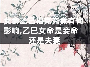 女命乙己相克究竟有何影响,乙巳女命是妾命还是夫妻