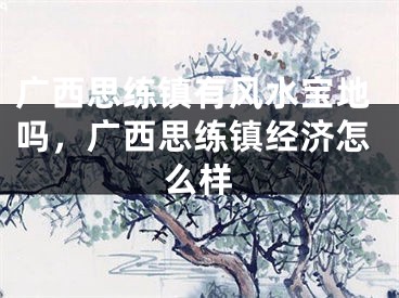 广西思练镇有风水宝地吗，广西思练镇经济怎么样
