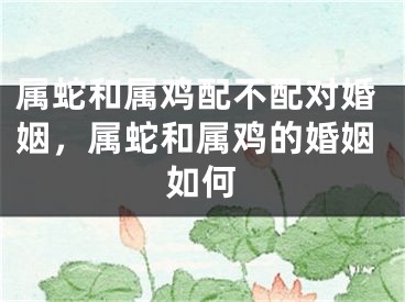 属蛇和属鸡配不配对婚姻，属蛇和属鸡的婚姻如何