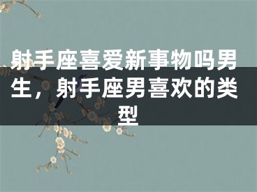 射手座喜爱新事物吗男生，射手座男喜欢的类型