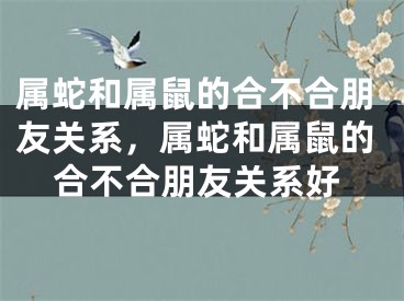 属蛇和属鼠的合不合朋友关系，属蛇和属鼠的合不合朋友关系好