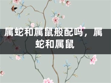 属蛇和属鼠般配吗，属蛇和属鼠