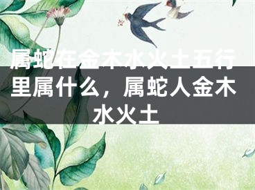 属蛇在金木水火土五行里属什么，属蛇人金木水火土
