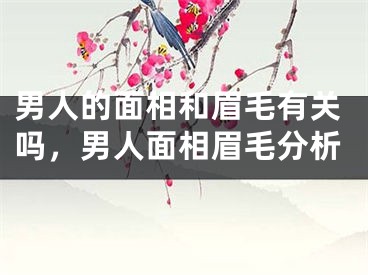 男人的面相和眉毛有关吗，男人面相眉毛分析
