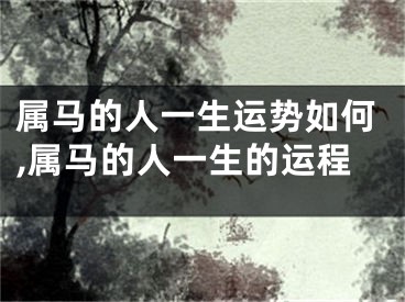 属马的人一生运势如何,属马的人一生的运程